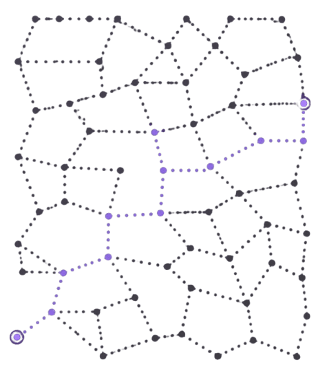 LEARN ALGO - Interactive Algorithm Visualizations | Master DSA, ML & AI